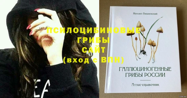 меф Кукмор