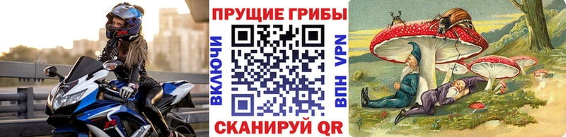 Галлюциногенные грибы Psilocybine cubensis  продажа наркотиков  Краснокаменск 